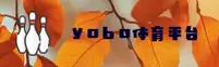 【官方】yobo体育官网登录入口 - 2025新版